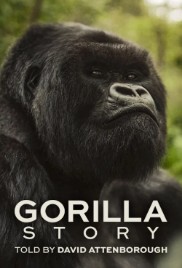 A Gorilla Story: Told by David Attenborough
