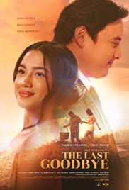 The Last Goodbye